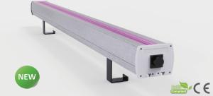 Wholesale LED Grow Lights Horticulture LED Lights for plant growing LED Let it Grow from china suppliers