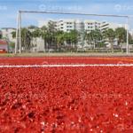 Professional Grade Wet Pour Rubber Granules Rubber Track System for Sports