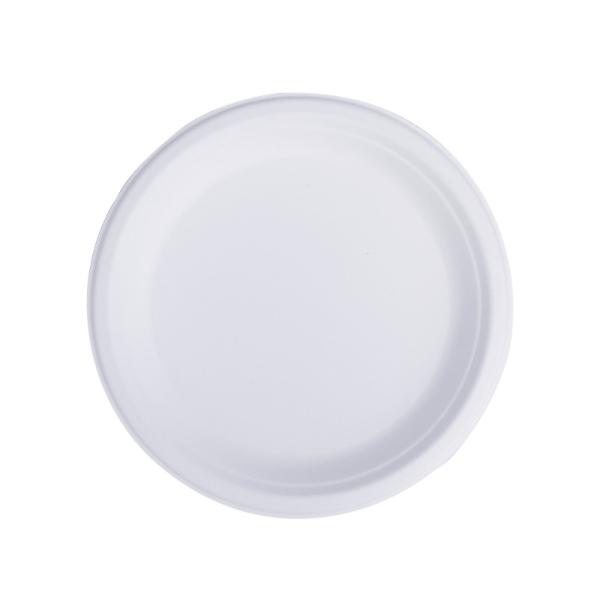 9 Inches White 100% Compostable Biodegradable Food Plate, For Food And