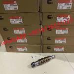 2029622 Genuine Diesel Common Rail Fuel Injector 1948565 2030519 2031836 2031835