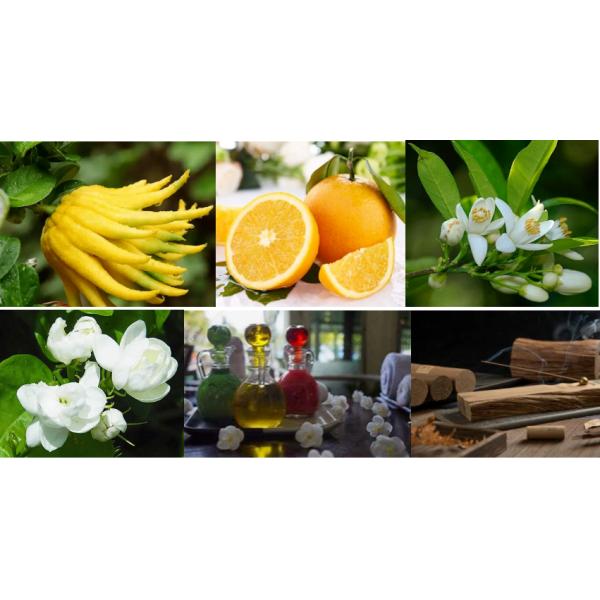 Water Soluble Pure Sunrise Fragrance Perfume Oil Eco-Friendly