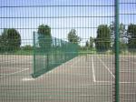 3.5mm 50x100mm Double Wire Fencing Low Carbon Steel