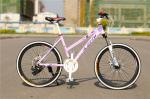 EN standard 36 spokes 24/26 inch alloy mountain bicycle MTB with Shimano 24