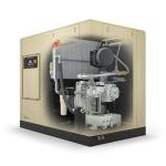 Electronics Sierra 190-300kw Oil-Free Rotary Screw Compressed Air for Ingersoll