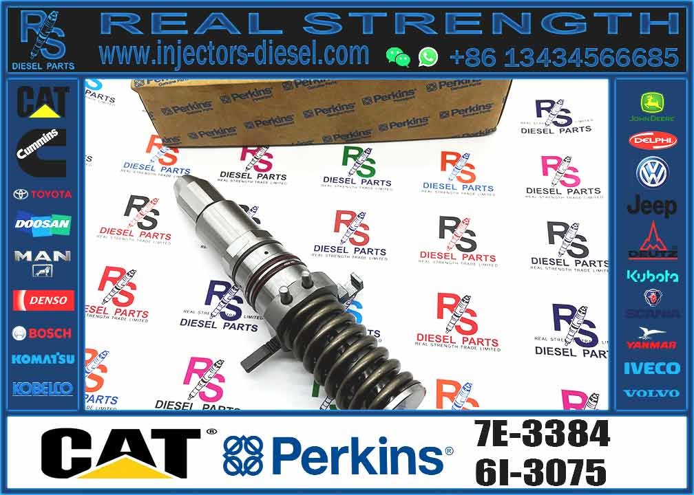 Excavator Parts 3116 Engine Injector 0R-8483 0R-3002 0R-8477 0R-3190 0R-8473 4P-2995 Fuel Injector For Excavator