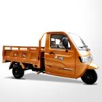 BeiYi DaYang Tricycle with Roof 2015 Hot Seller Max Speed 65km/h Displacement