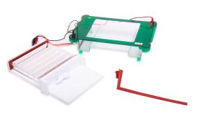 Wholesale Safety Horizontal Gel Electrophoresis Apparatus Abundant Buffer ISO Approved from china suppliers