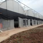 Rolling Benches Seedling Nursery Multi Span Greenhouses Galvanized Steel