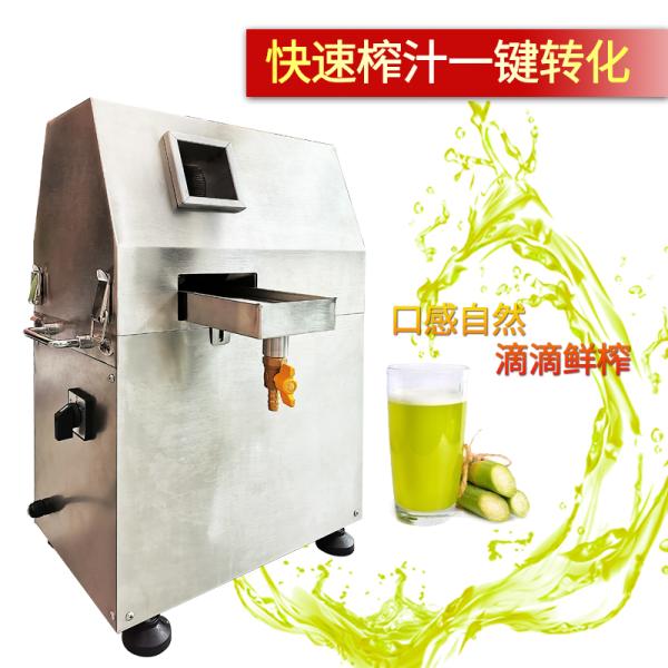 220V 550W Mini Sugarcane Juice Machine Food grade material For Home