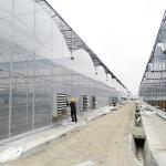 Anti Insect Net Multi Span Hydroponic Tunnel Plastic Greenhouse For Vegetable