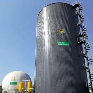 Wholesale Anaerobic Digester Septic Tank Capacity Biogas Equipment from china suppliers