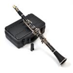High quality good price C key Wind Instrument clarinet ABC1301/1301RW