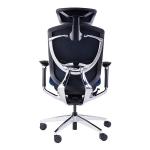 Blue Mesh Smile Face Stable Base Class 4 Gas Lift Ergonomic Executive Chair