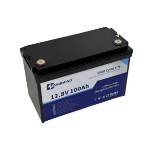 Wholesale Heavy Duty LiFePO4 Lithium Battery 12V 100Ah With Integrated BMS from china suppliers