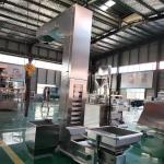 Chemical Particle Material Z-type Bucket Elevator Low Damage Turning Bucket