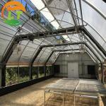 Vegetables Growing in Small Mushroom Tunnel Greenhouse for Small-Scale