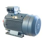 3ph Industrial AC Motors 380v 400V 3 Phase Asynchronous Electric Motor