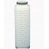 20 Inch Pleated Filter Cartridge 0.2 Micron For Pure Water Process for sale