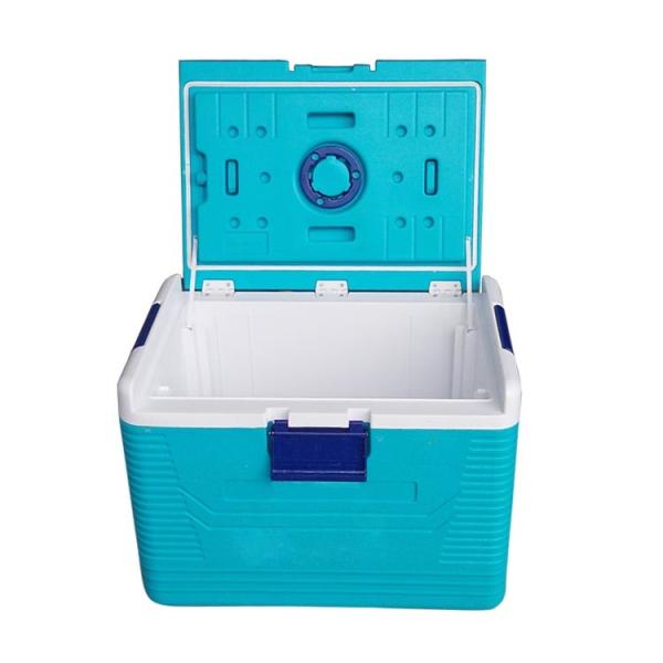 Blood Transport And Rotomolded Insulated cold storage Box with Lock 615 × 415 ×