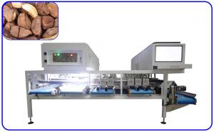 Wholesale AI Brazil Nuts Sorting Machine Stainless Steel 12 Channel Electric Drive from china suppliers
