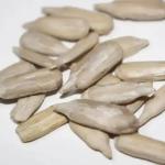 Factory Bulk wholesale Sunflower Seeds Kernel/Sunflower Seeds Best seller on