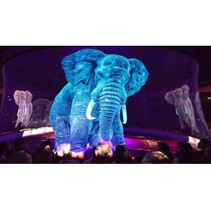 9.5x50m Invisible Transparent 3D Hologram Screen Scrim