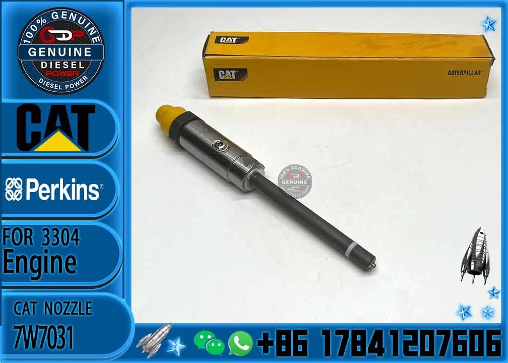 Fuel Injector Assembly 7W7031 0R-8787 0R-4124 0R-3591 0R-3423 0R-8785 0R-3424 170-5181