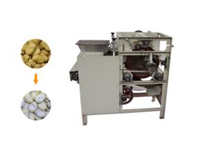 China 150kg/H Automatic Food Processing Machines Wet Way Cashew Peanut Peeling Machine on sale