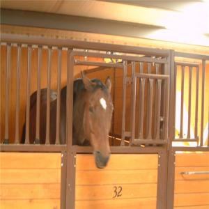 Wholesale Bamboo Board Metal Horse Fence Stable Panel With Durable Sliding Door from china suppliers