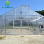 Commercial Single Span Venlo Type PC Sheet Greenhouse Impact Resistant