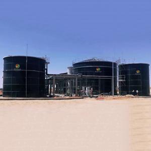 Wholesale Biogas From Napier Grass Biogas Plant From Waste from china suppliers