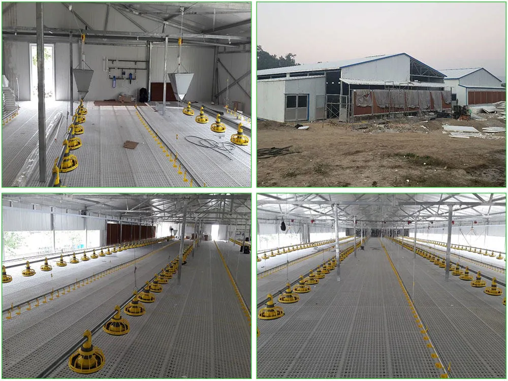 Prefabricated Steel Structure Poultry Farm Livestock Chicken House Coop Shed