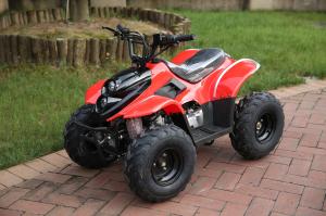 Wholesale ATV 110cc,125cc,4-stroke,air-cooled,single cylinder,gasoline electric start,New popular M from china suppliers
