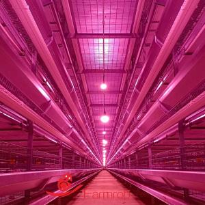 Wholesale Energy Efficient Poultry Lighting System 3 Tiers - 8 Tiers Baby Chick Rearing Equipment from china suppliers