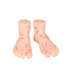 Wholesale 20CM Chinese Medicine Foot Massage Model PVC Material 13/17/19cm from china suppliers