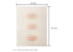 3D Lip Practice Skin Soft Elastic Permanent Makeup Practice Skin For Lip Tattoo