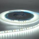 3528 Series Flexible LED Strip Light 12v To 24V 2400 To 7000K