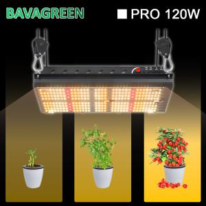 Wholesale 3000K 5000K LM301B Quantum Board 120W Samsung Indoor Garden Led Grow Lights from china suppliers