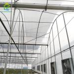 Galvanized Steel Plastic Film UV Resistant Agricultural Multi-span Greenhouse
