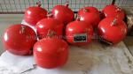 Flexible Unique FM200 Fire Suppression System Customized Configurations