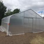 Agricultural Commercial Industrial 12m Width Anti UV PE Plastic Film Greenhouse