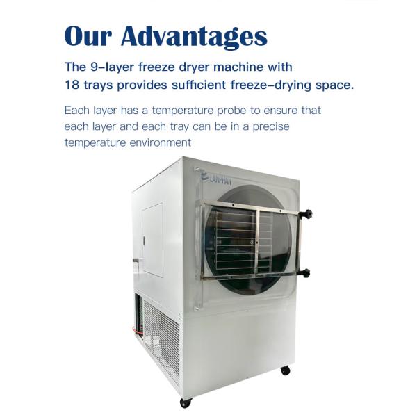 Double Compressor Vegetable Freeze Dryer Fruit Flower Vacuum Freeze Drying Equipment