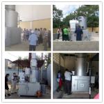 Smokeless Incinerator Cremation Machine Incineration Furnace Cremator For Pets