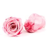 Home Decoration Preserved Rose Heads For Arrangements And Decorations