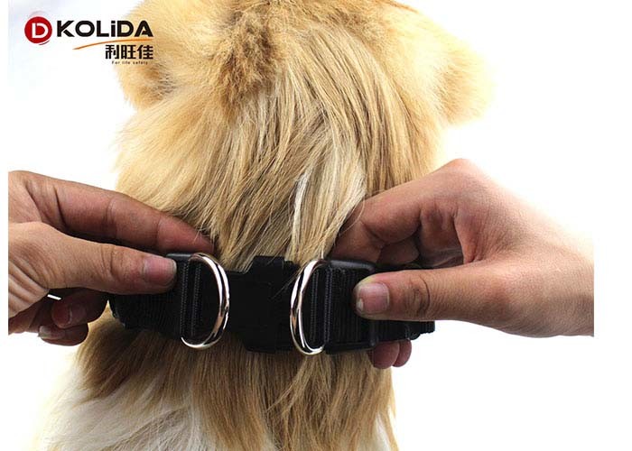 3 Colors Adjustable LED Dog Collar , Flashing Luminous Dog Collars Outdoor