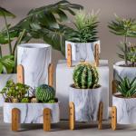 Mini Flower Pots Round Succulents Pot Planters Tabletop Flowerpots Cement Pot