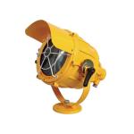 Power 400W 450W Weight 10kg CFT1 Explosion Proof Light Fixture