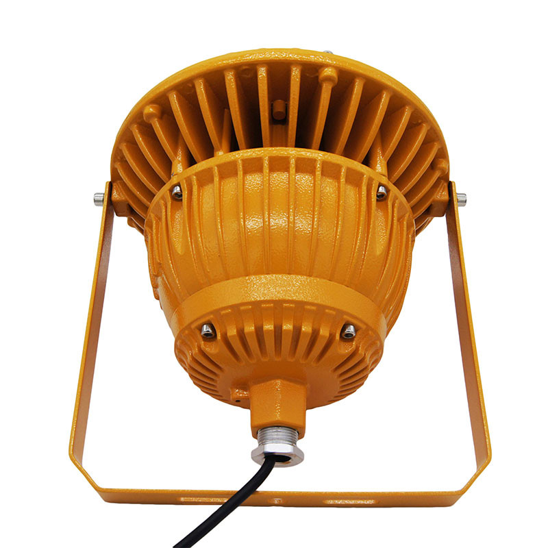 ODM Hazardous Location Fixtures Led Lights Anti Glare