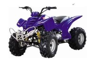 Wholesale 200cc ATV gas,single cylinder, 4-stroker,air-cooling ,electric start.good quality from china suppliers