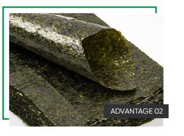 Full Size Algae Sheet Golden Roasted Seaweed Sushi Nori With Style Dried